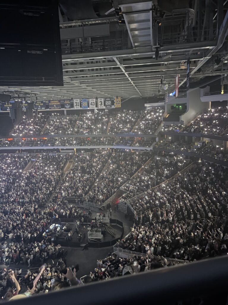 Image of a crowd in an arena during a concert